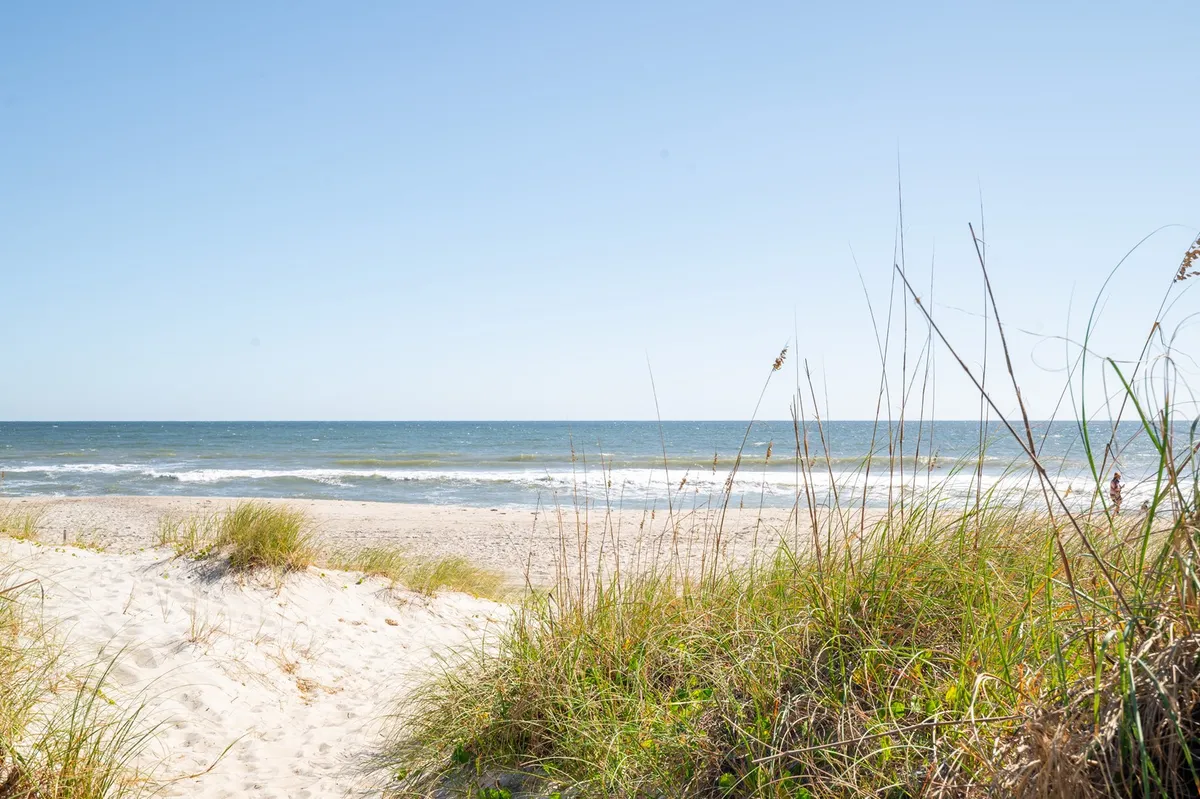 A wide, sandy beach with rolling ocean waves and dune grass. The image captures the expansive shoreline, perfect for beach walks and playtime with pets.